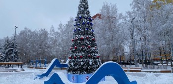 Елку в цветах триколора установили в Приокском районе Нижнего Новгорода