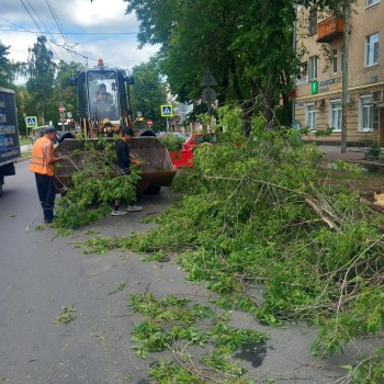 Около 40 деревьев упало в Нижнем Новгороде после ливня