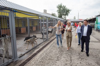 &quot;Единая Россия&quot; совместно с благотворительным фондом &quot;ДаДобро&quot; провели акцию &quot;Лучший друг&quot; в Нижнем Новгороде