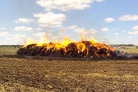 В Нижегородской области четверо мальчиков сожгли 20 т соломы