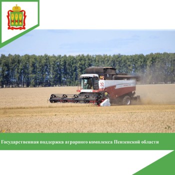 Господдержка пензенского АПК с начала года составила почти 1,3 млрд Господдержка пензенского АПК с начала года составила почти 1,3 млрд