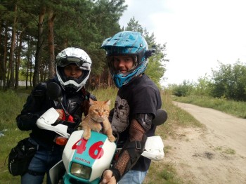 Кот-путешественник живет в Нижнем Новгороде