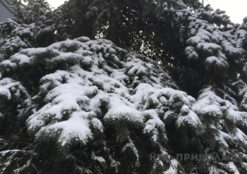 Народные приметы: 21 января