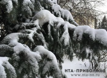Нижегородские врачи объяснили, почему зимой любые нагрузки ощущаются сложнее