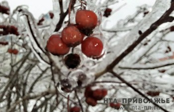 Народные приметы: 28 ноября