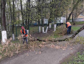Работа на озелененных территориях идет в рамках месячника по благоустройству в Нижнем Новгороде
