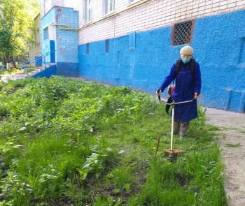 Второй этап покоса травы стартовал в Чебоксарах