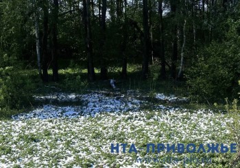 Народные приметы: 3 ноября 