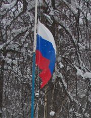 Позитивно к России относятся в Индии, негативно - в Германии и во Франции - опрос