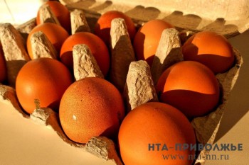 Более 90 млн штук яиц планируется производить в Нижегородской области к 2025 году