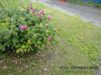 Тёплая погода в Нижегородской области сменится дождями в средине недели