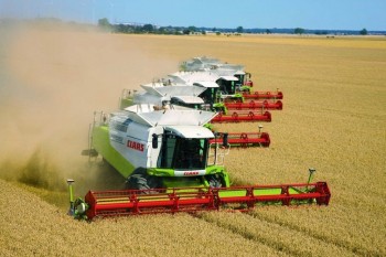 Более 1,2 млн тонн зерна планируется собрать в Нижегородской области в 2020 году