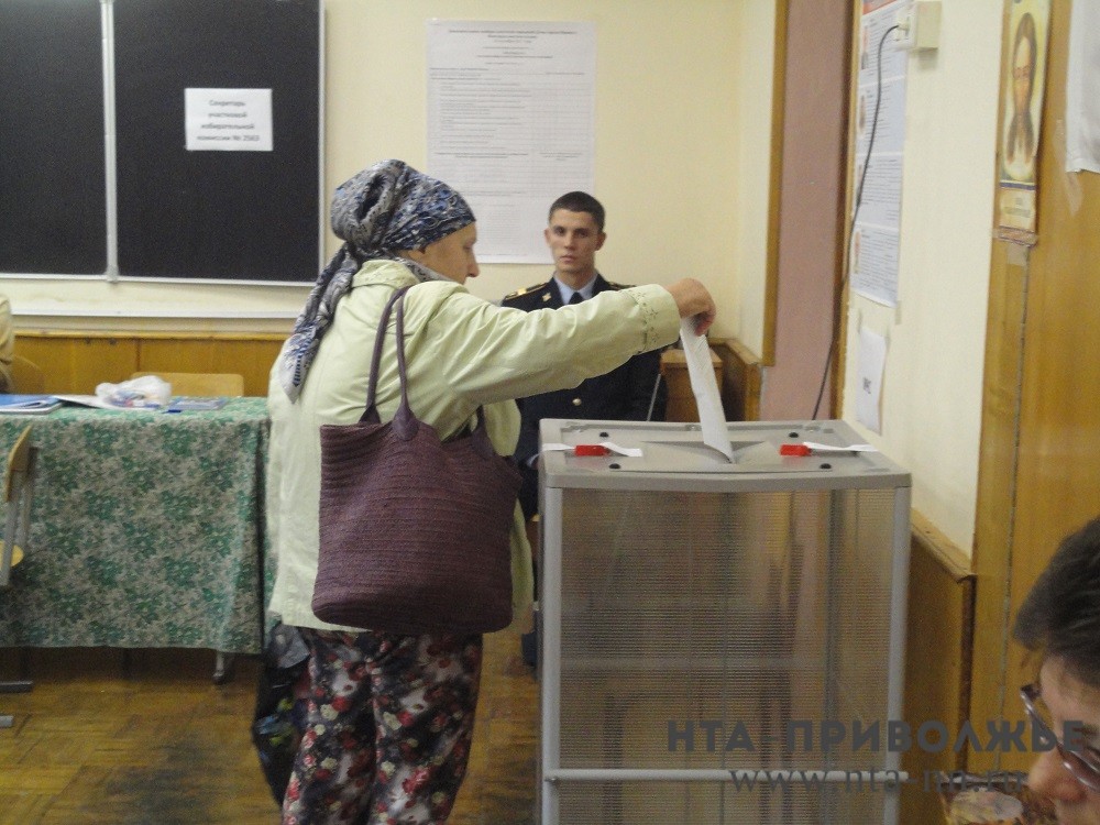 Аналитики оценивают явку в единый день голосования в Нижегородской области в 30-35%