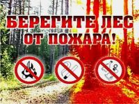 В Нижегородской области за 10 дней зарегистрировано 82 случая загорания сухой травы 