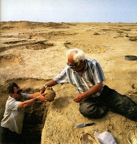 День археолога отмечается 15 августа