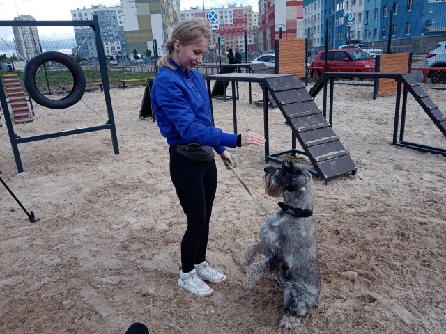 Шестнадцать новых площадок для выгула и дрессировки собак построено в Нижнем Новгороде в 2021 году