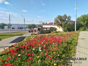 Более 10 млн рублей выделено на цветочное оформление центра Нижнего Новгорода