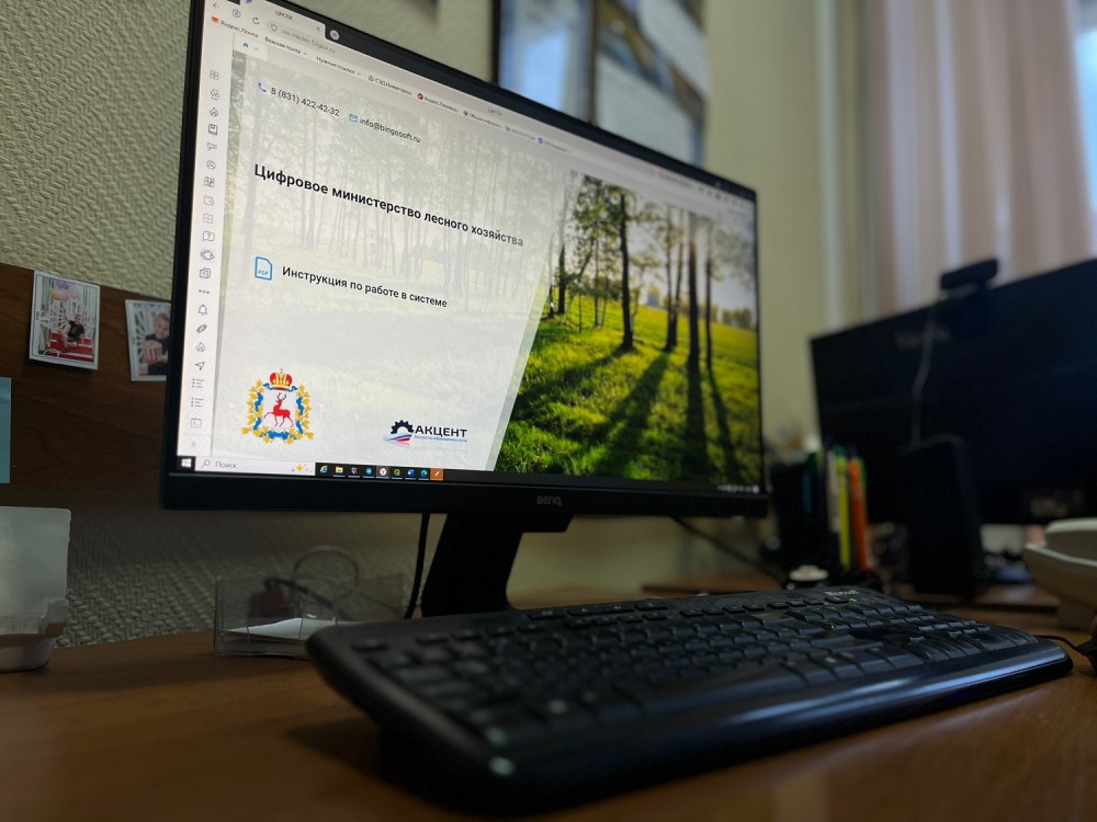 Более 14 000 госуслуг оказано через систему «Цифровой лес» в 2025 году