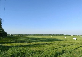 Нижегородские аграрии начали заготовку кормов