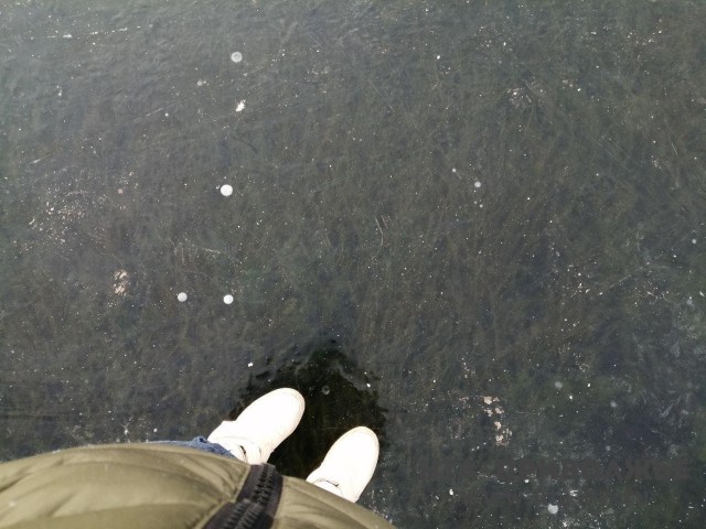 Запрет выхода на лед водоёмов вводится в Саратовской области с 25 ноября Запрет выхода на лед водоёмов вводится в Саратовской области с 25 ноября