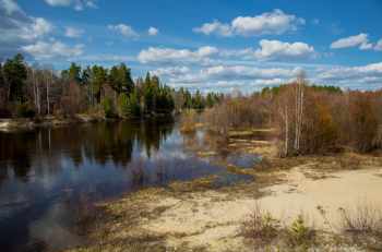 Нижегородская область достигнет баланса выбытия и создания лесов к 2024 году