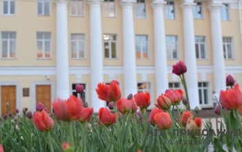 Комитет по госвласти ЗС НО одобрил преобразование Перевозского района Нижегородской области в городской округ