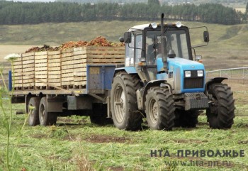 Народные приметы: 26 сентября