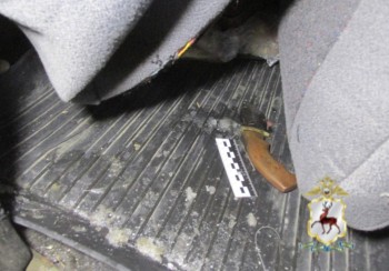 Нижегородца осудят за жестокое убийство беременной самки лося