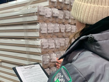 Экспорт лесопродукции из Чувашии вырос в 1,2 раза