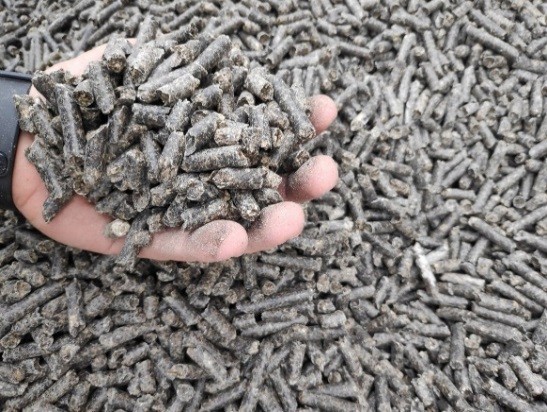 Более 4,65 тыс. тонн гранулированной свёклы нового урожая экспортировано из Пензенской области в Китай