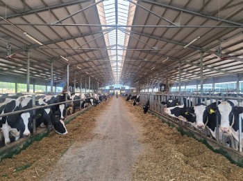 Молочную ферму на 1040 голов построили в Нижегородской области