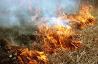 Более 100 загораний сухой травы зарегистрировано в Нижегородской области с 28 марта