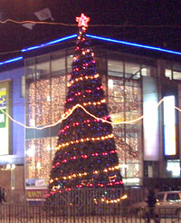 В Н.Новгороде к Новому году будет установлена 101 праздничная елка - Булавинов
