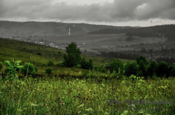 Экс-главу Минприроды Удмуртии Нестерова осудили за ущерб заказнику