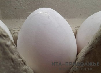 Поддержка животноводства Чувашии достигла 696 млн рублей за год