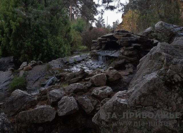  Родники в Ижевске назовут именами героев спецоперации
