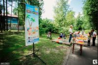 Первый городской турнир по настольным играм состоится 16 июля в парке &quot;Лакреевский лес&quot; г. Чебоксары