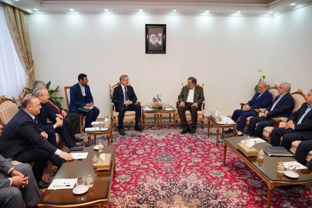 Глава Башкирии Радий Хабиров и вице-президент Ирана Мохсен Резайи обсудили вопросы взаимодействия