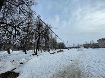 Аллею в Новинском сельсовете Нижнего Новгорода благоустроят в рамках нацпроекта