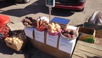 Около 4 тонн картофеля было реализовано в Калиниском районе Чебоксар в рамках ярмарки &quot;Дары осени&quot;


