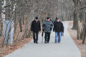 Забор парка &quot;Дубки&quot; в Нижнем Новгороде планируется замкнуть по периметру и закрывать на ночь