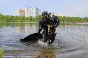 Парковые озера в Нижнем Новгороде очистят с помощью водолазов до 1 июня