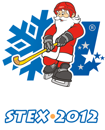 В Н.Новгороде 3 января состоится II межрегиональный новогодний турнир по хоккею с мячом среди любительских команд &quot;STEX-2012&quot;