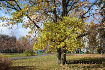 Синоптики прогнозируют теплую и ясную погоду в Нижегородской области в середине недели