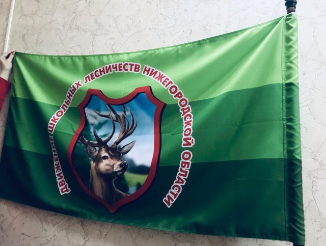 Четыре новых школьных лесничества создано в Нижегородской области