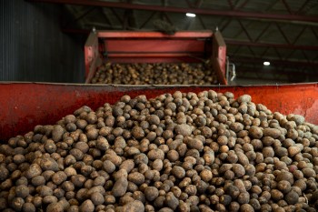 Нижегородские фермеры начали поставки в сети через агроагрегаторов