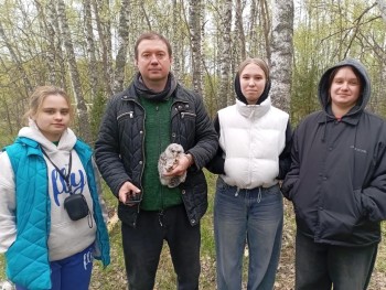 Нижегородские подростки реализуют проект по защите сов и соколов Нижегородские подростки реализуют проект по защите сов и соколов