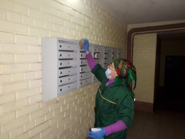 Фото предоставлено пресс-службой администрации Чебоксар