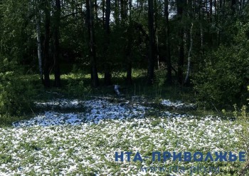 Порядка 13 см снега может выпасть в Нижнем Новгороде 20 апреля