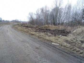 Почти 470 незаконных свалок ликвидировали в Нижегородской области в 2019 году